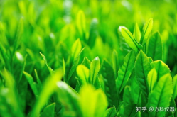 桌面壁纸护眼,护眼桌面壁纸的挑选与使用指南